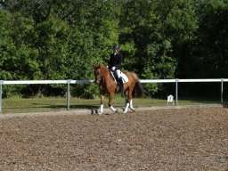 IMG_5093_web